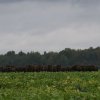 dsc00137-001