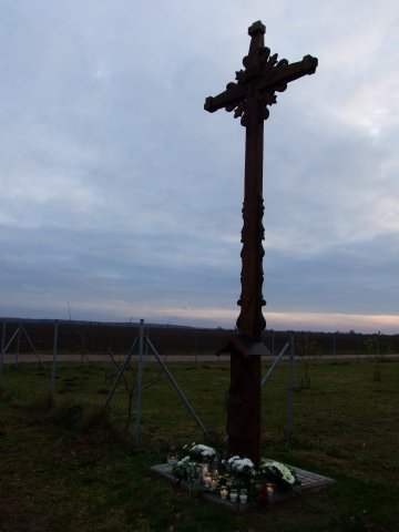 dscf6979