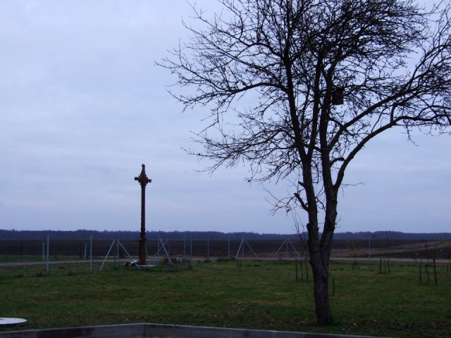 dscf6987