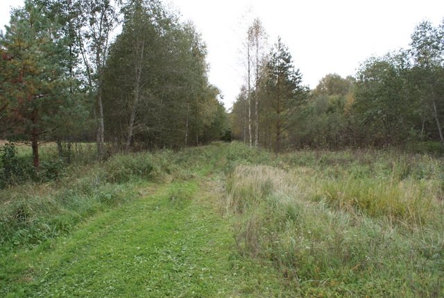 dsc06321