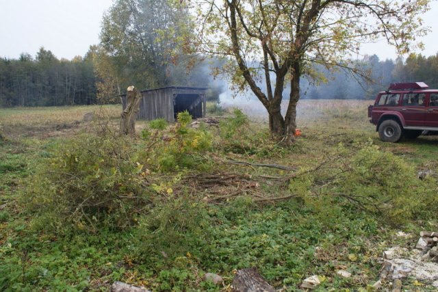 dsc06429