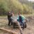 Klubas - talkos - 2011_10_22